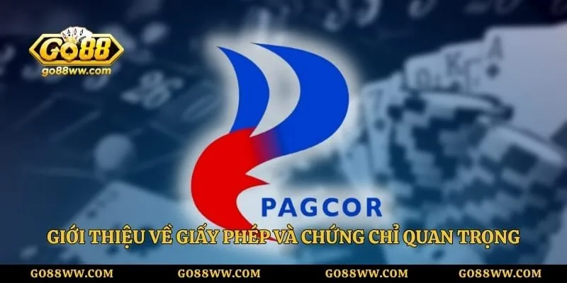 gioi thieu ve giay phep va chung chi quan trong