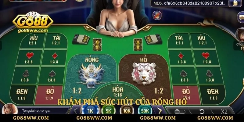 Khám phá sức hút của rồng hổ